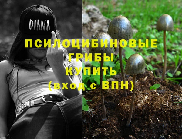 прущий лед Бронницы
